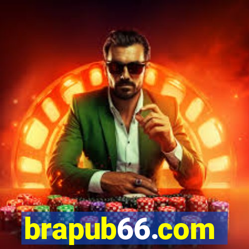 brapub66.com