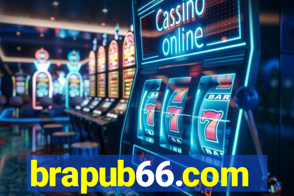 brapub66.com