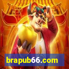 brapub66.com