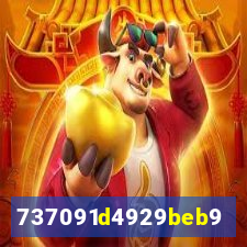 plataforma bet917.com