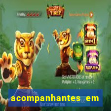 acompanhantes em porto seguro