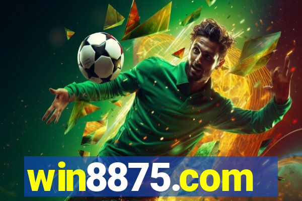 win8875.com