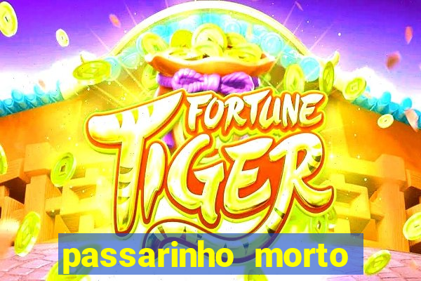 passarinho morto significado espiritual