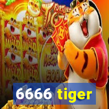 6666 tiger