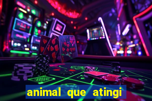 animal que atingi 230 decibeis