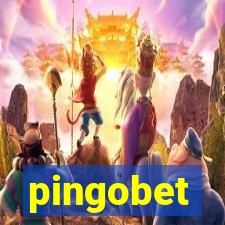pingobet