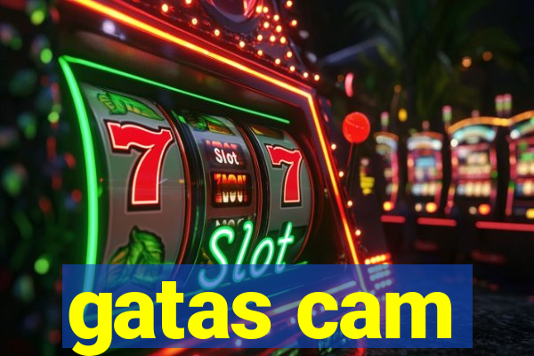 gatas cam