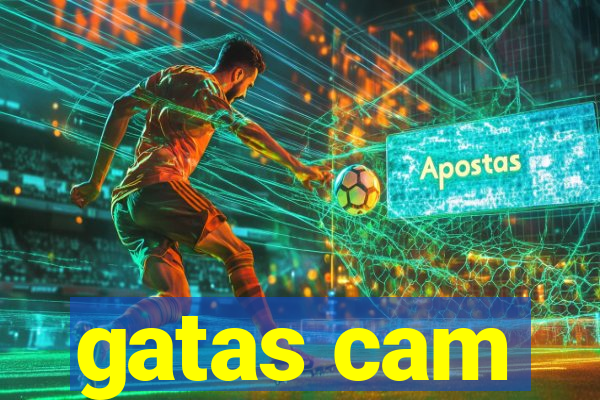 gatas cam