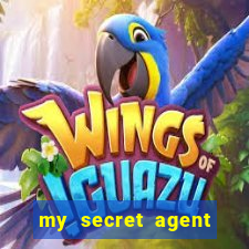 my secret agent husband legendado