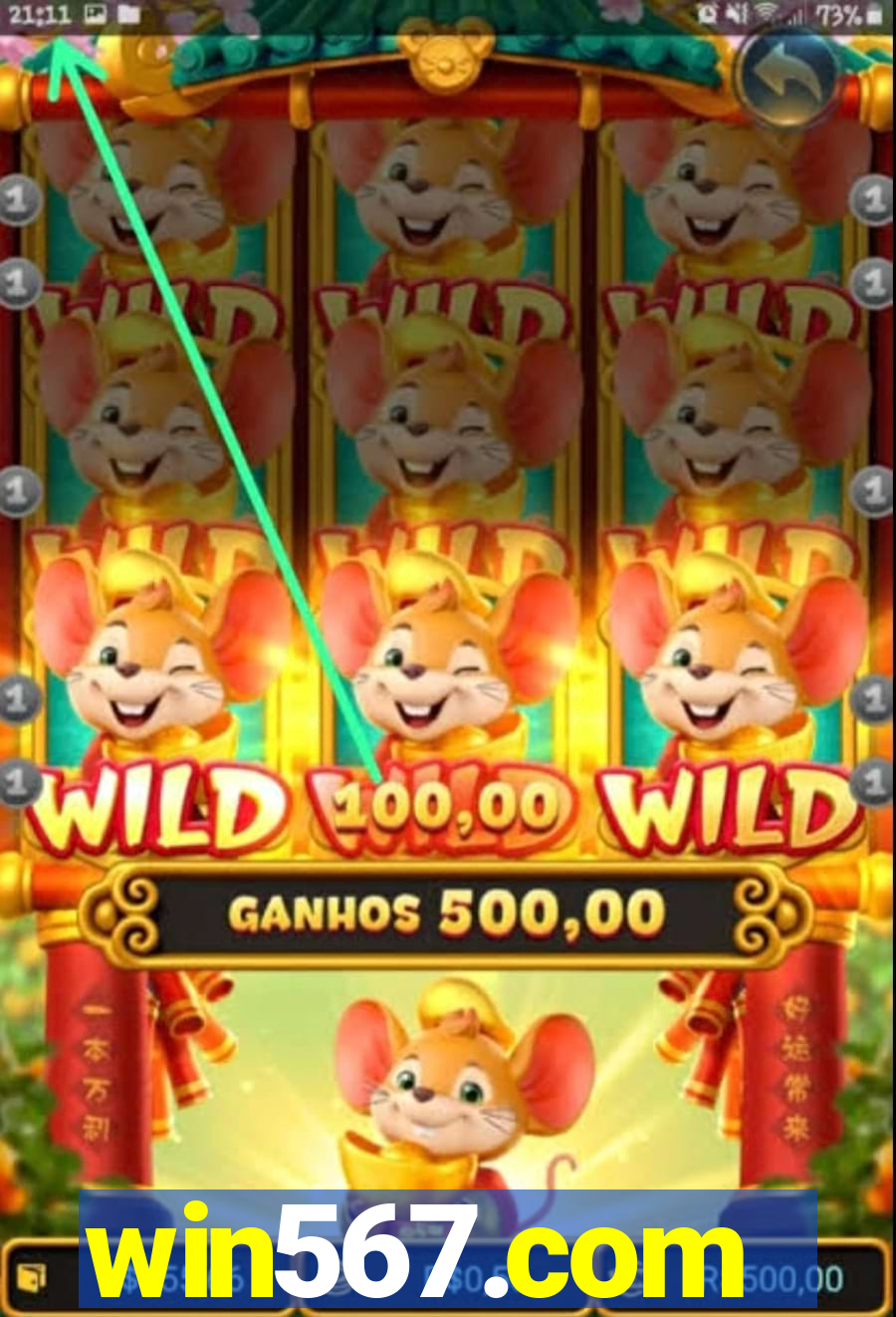 win567.com
