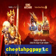 cheetahpgpay1.com