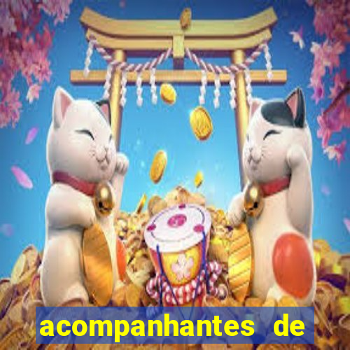 acompanhantes de paulo afonso