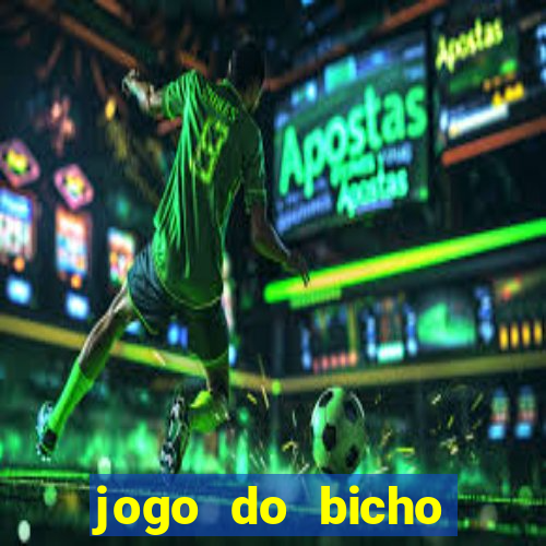 jogo do bicho tipos de apostas