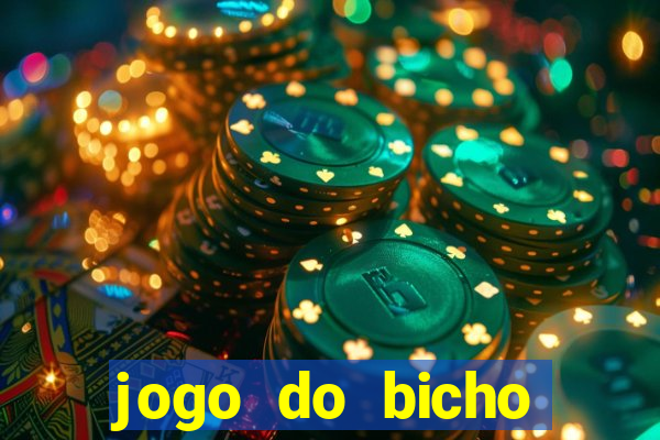 jogo do bicho tipos de apostas