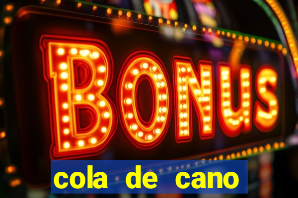 cola de cano quanto tempo para secar