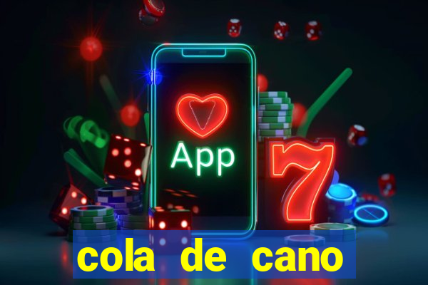 cola de cano quanto tempo para secar