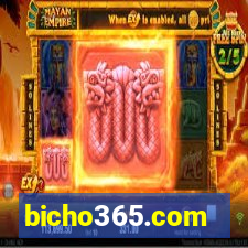 bicho365.com