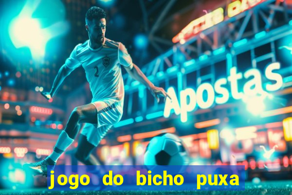 jogo do bicho puxa de dona maria