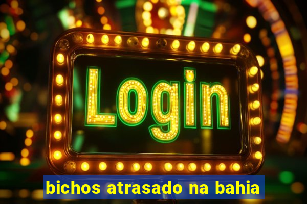 bichos atrasado na bahia