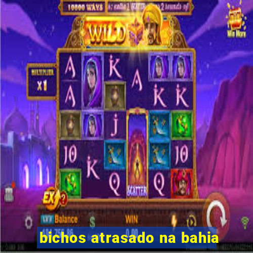 bichos atrasado na bahia