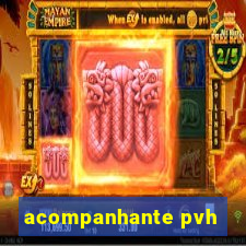 acompanhante pvh