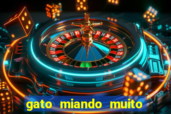 gato miando muito a noite o que fazer