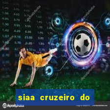 siaa cruzeiro do sul aluno