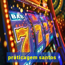praticagem santos