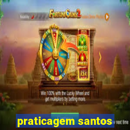 praticagem santos