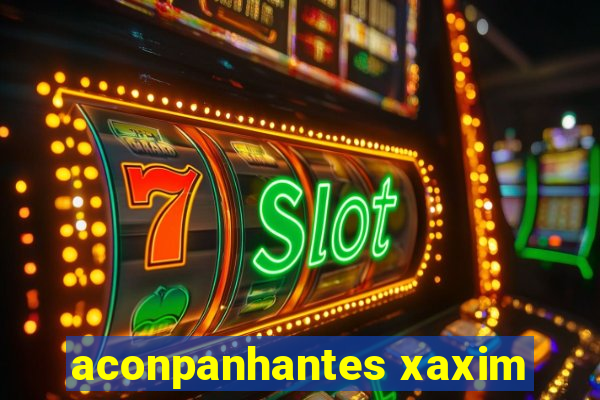 aconpanhantes xaxim