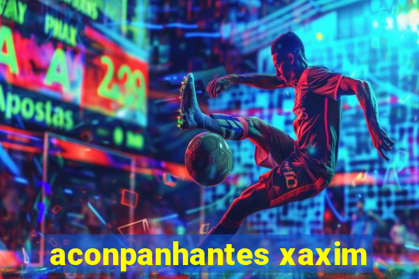 aconpanhantes xaxim