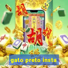gato preto insta