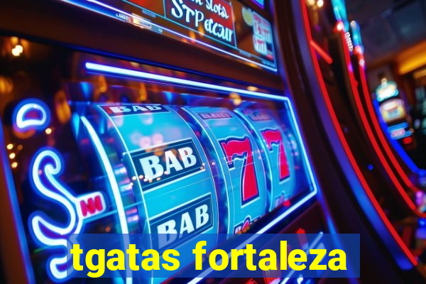 tgatas fortaleza