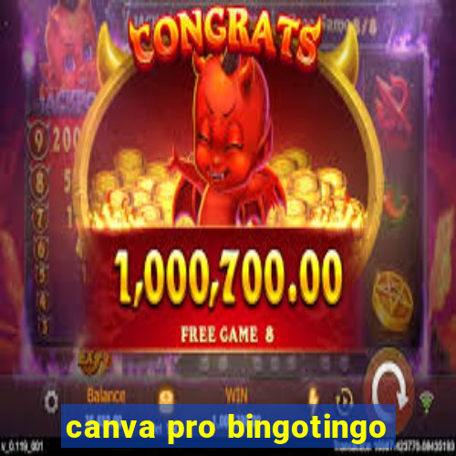 canva pro bingotingo
