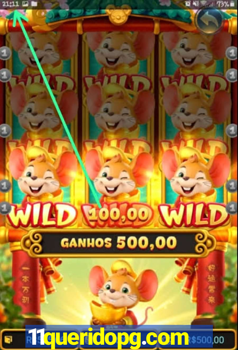 11queridopg.com
