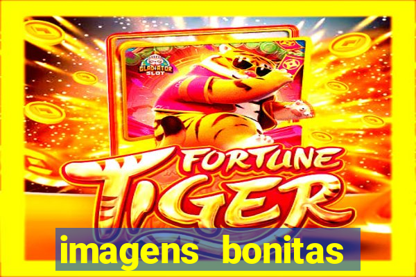 imagens bonitas para perfil