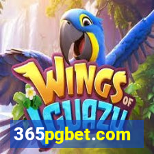 365pgbet.com