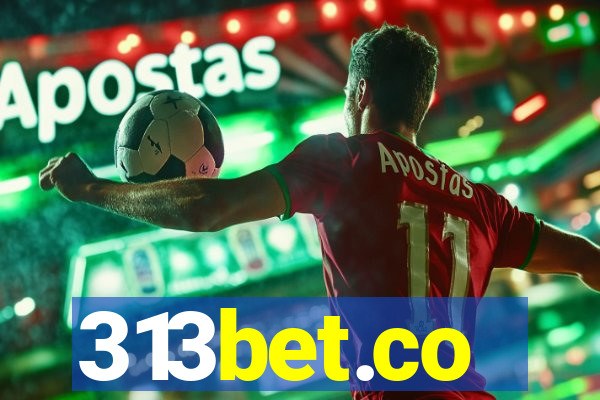 313bet.co