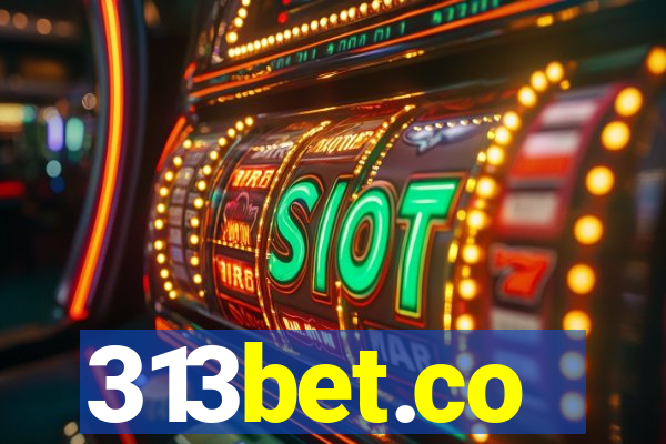313bet.co