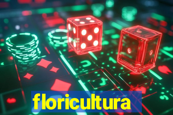 floricultura juazeiro bahia