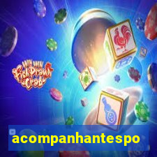 acompanhantesportovelho