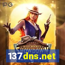 137dns.net