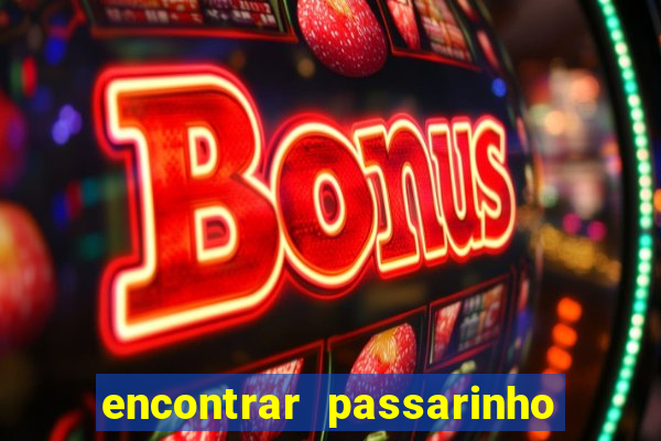 encontrar passarinho morto significado