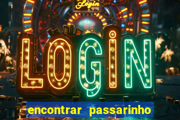 encontrar passarinho morto significado