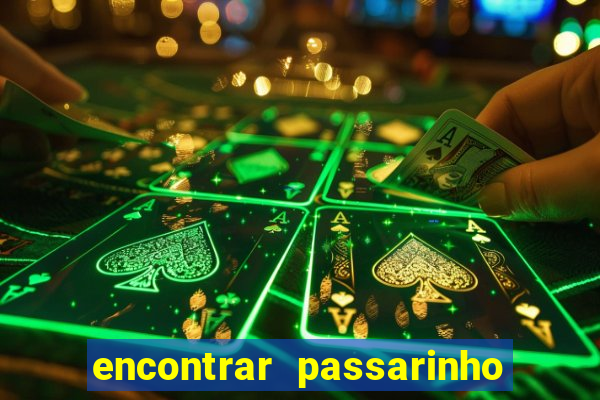 encontrar passarinho morto significado
