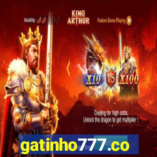 gatinho777.co