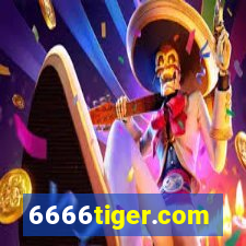 6666tiger.com