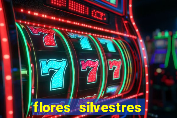 flores silvestres desbravadores desbravadores 25