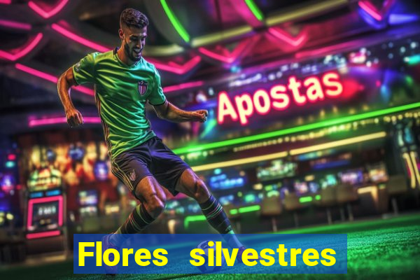 Flores silvestres brasileiras brasileiras flores silvestres nomes e imagens