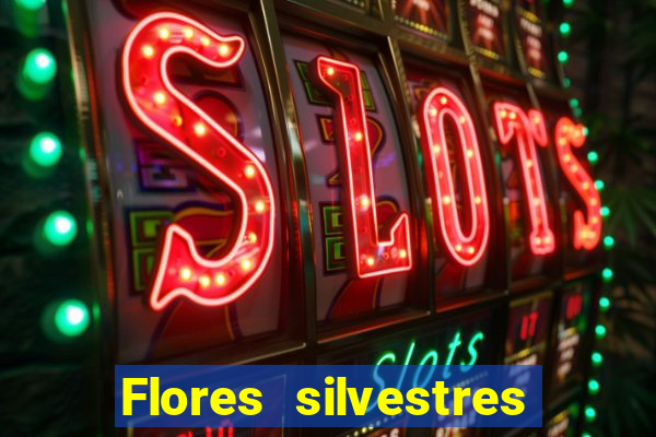 Flores silvestres brasileiras brasileiras flores silvestres nomes e imagens